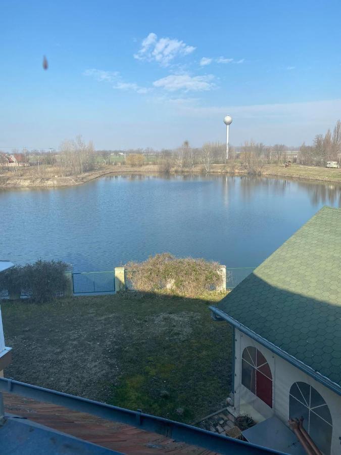 La Curia Panzio Bed & Breakfast Dunaszeg Bagian luar foto