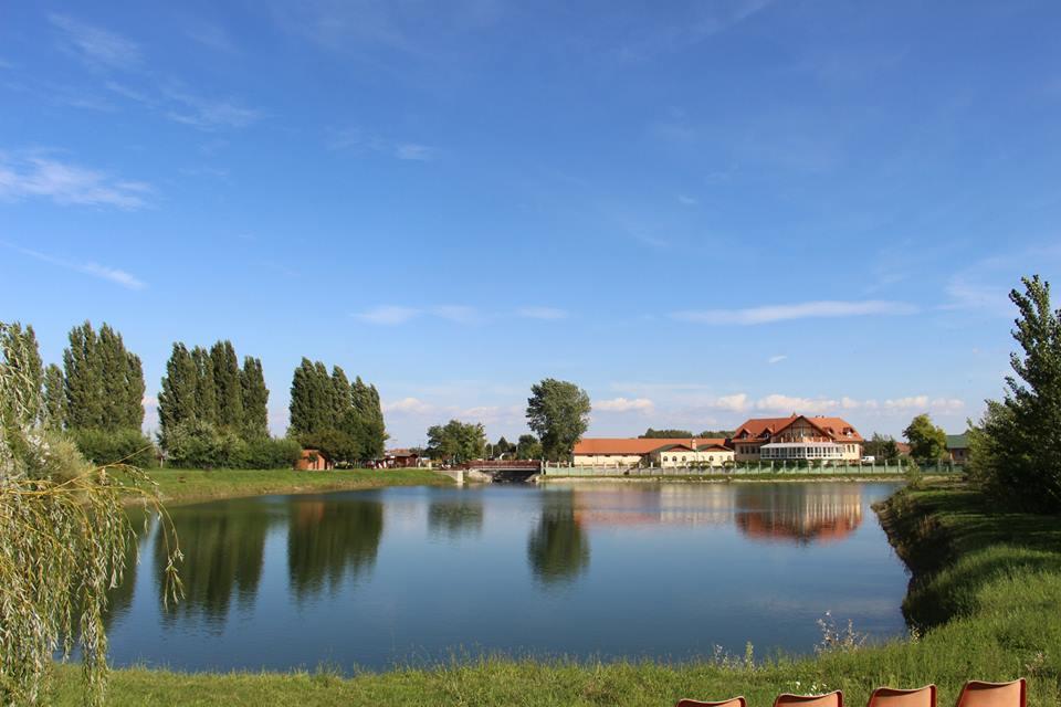 La Curia Panzio Bed & Breakfast Dunaszeg Bagian luar foto